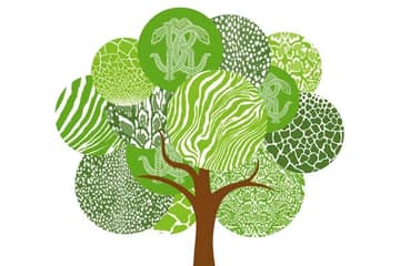 Il Gruppo Roberto Cavalli lancia un'iniziativa green