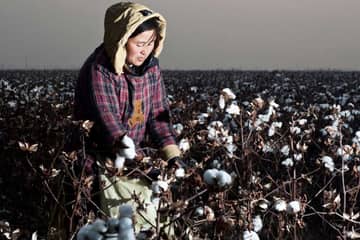 Cotton Ranking 2020: Adidas führt, deutsche Unternehmen auf dem Vormarsch
