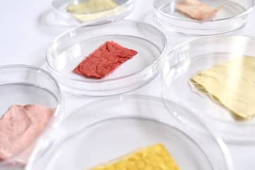Fabulous Fungi: Textiel verven met kleurpigmenten uit schimmels