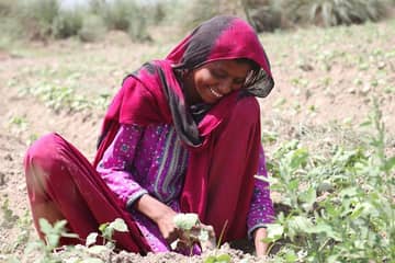 Pakistaans denimbedrijf, Soorty, lanceert initiatief voor biologisch katoen 