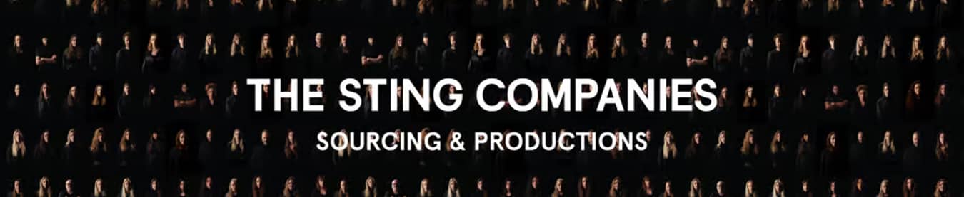 Company Profile header The Sting Companies Sourcing & Productions