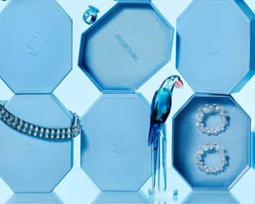 Company Profile header Swarovski