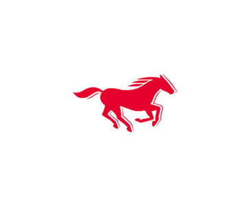 Company Profile header Mustang