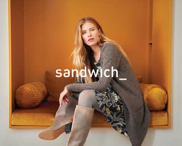 Company Profile header Sandwich