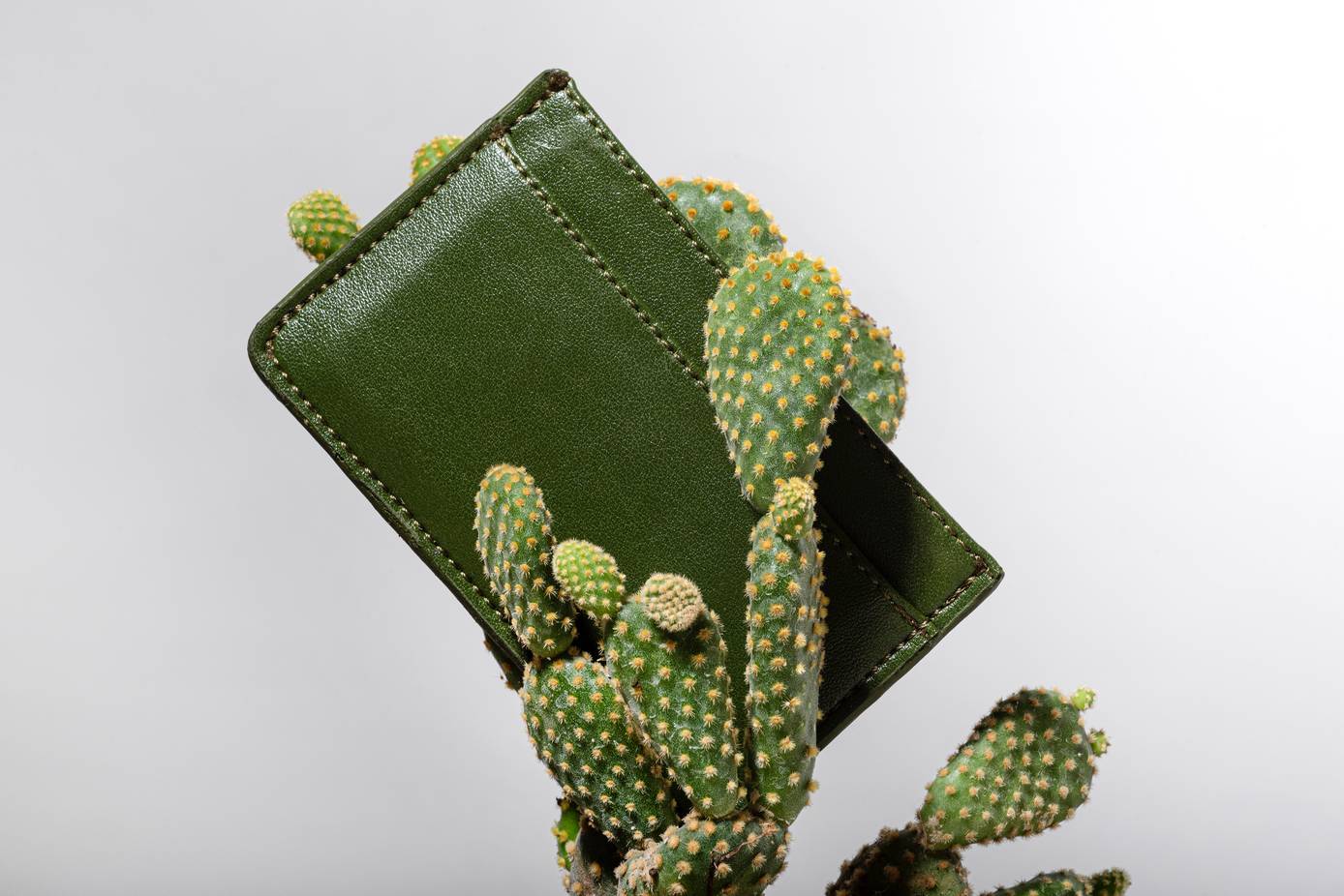 Fashion Company Is Making Products With Mexican Cactus - EcoWatch