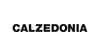 Store Manager:in / Filialleiterin (m/w/d) - CALZEDONIA