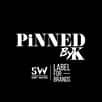 Logo PiNNED by K