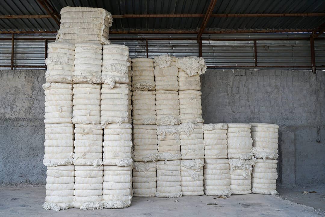 Fardos de algodón en Harrán (Turquía).