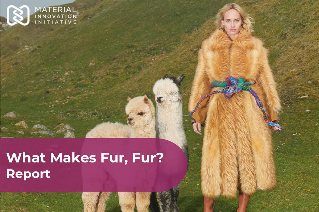 New report asks 'What makes fur, fur?'