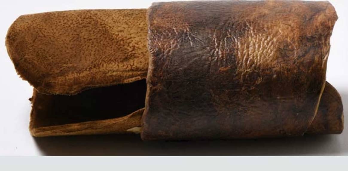 Sustainable textile innovations: mushroom leather