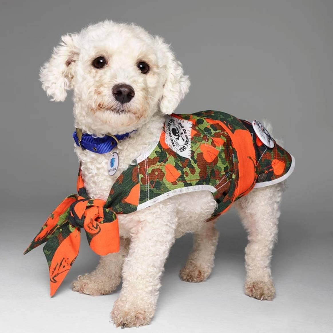 Fashion names design canine couture for charity