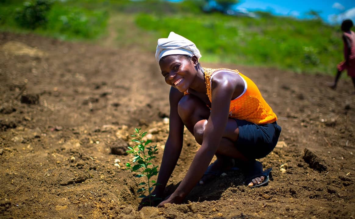 Tree planting in Haiti