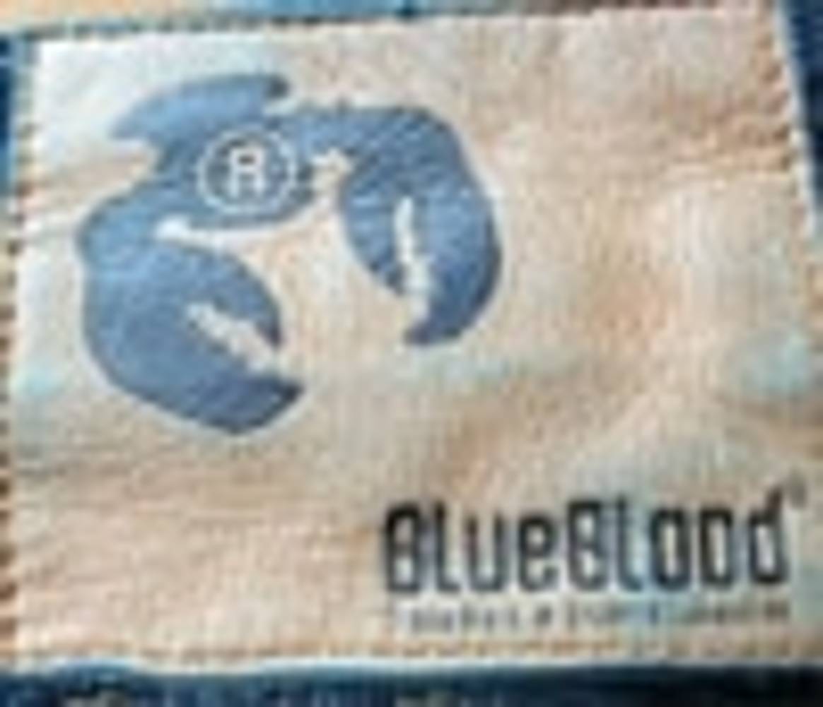 Nieuwe CFO Blue Blood International: ‘Eerst rust creëren’