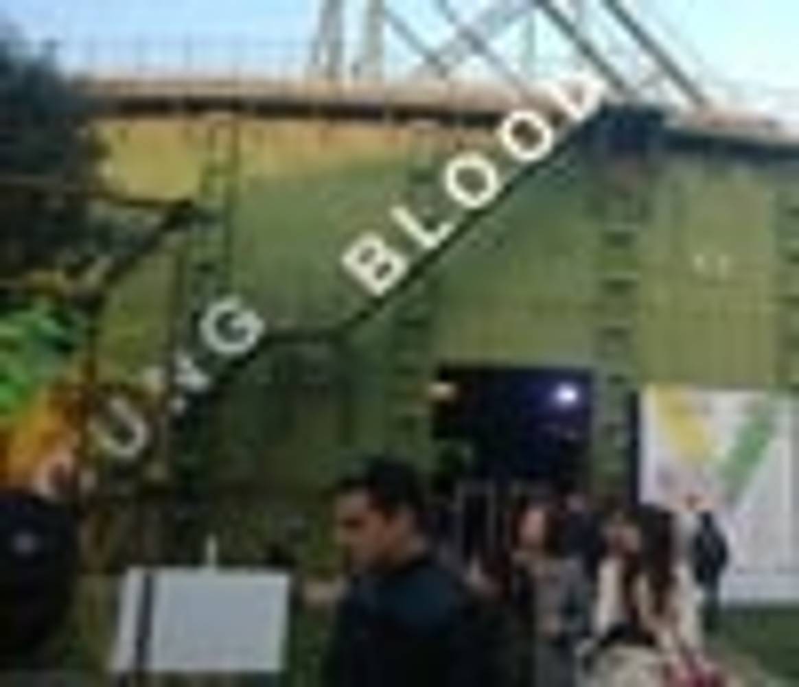Chic Young Blood: 20.000 Besucher