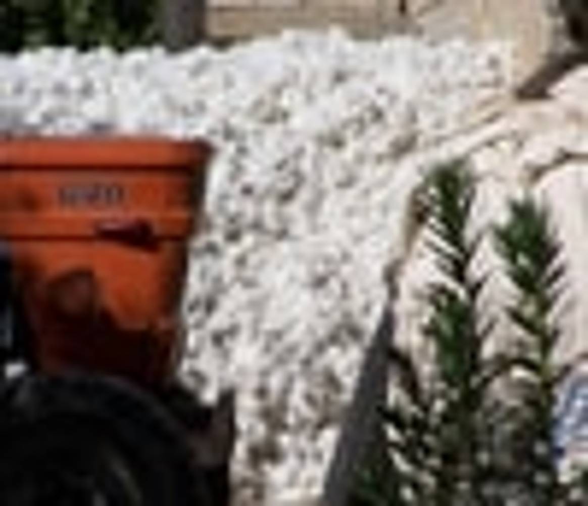 Skandal um gefälschte Bio-Baumwolle