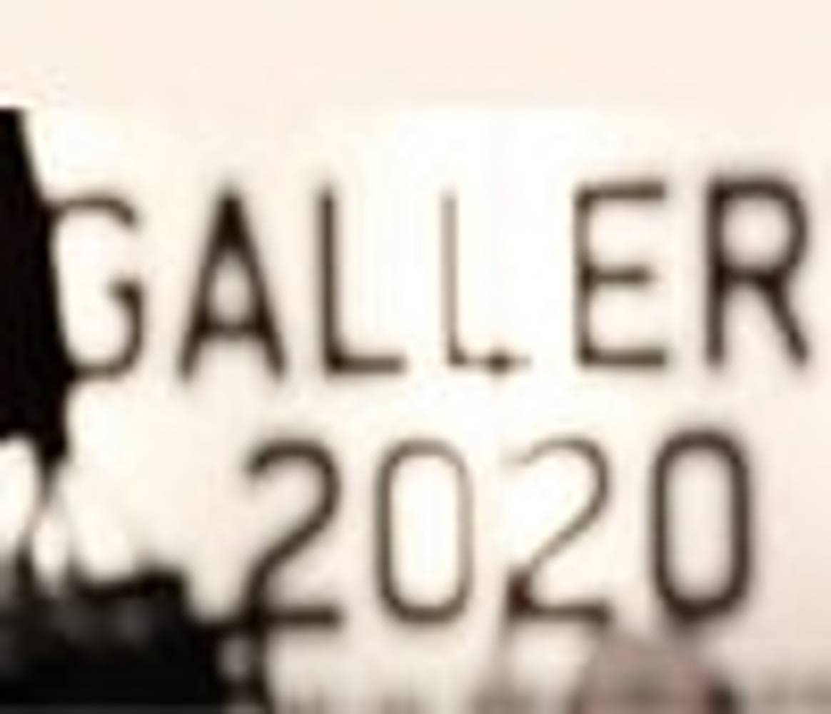 Wintereditie Gallery 2020 geannuleerd