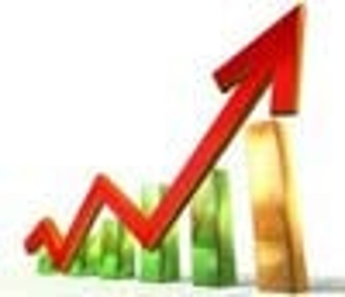 Fiscal 2013: Positive sales growth but net profits suffer