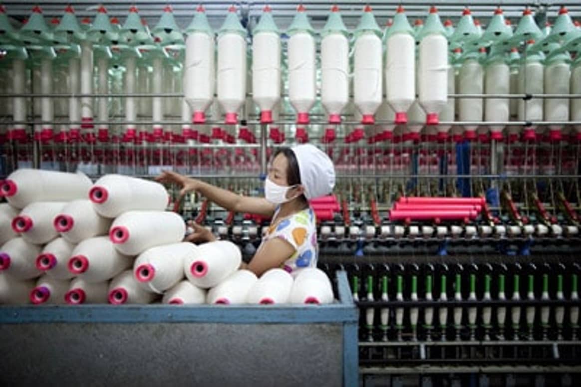 Le coton enregistre une forte baisse de sa production