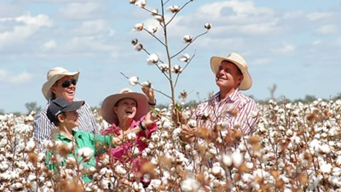 L'Australi​e devient le deuxième exportateu​r de coton