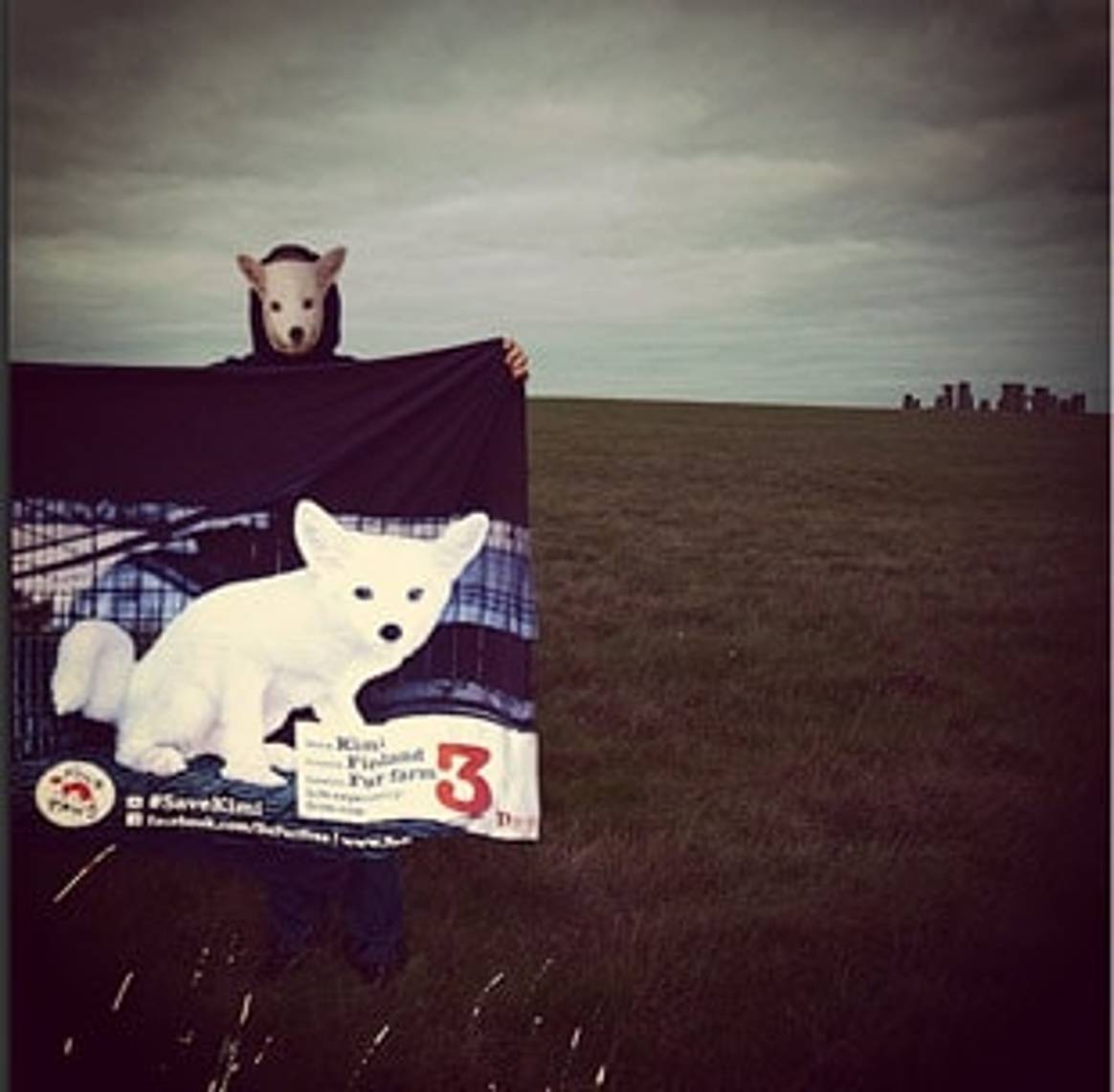 Burberry: dierenvrienden bieden 20.000 euro voor bontkraag-vos
