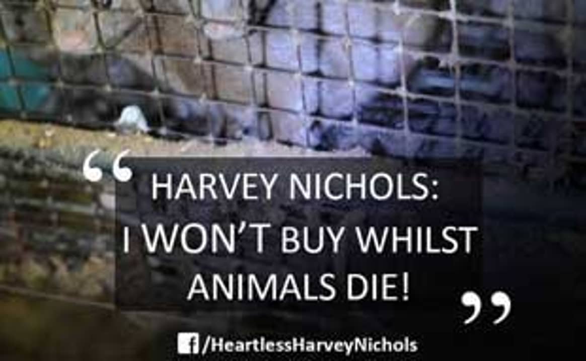 Harvey Nichols will gerichtlich gegen Pelzgegner vorgehen