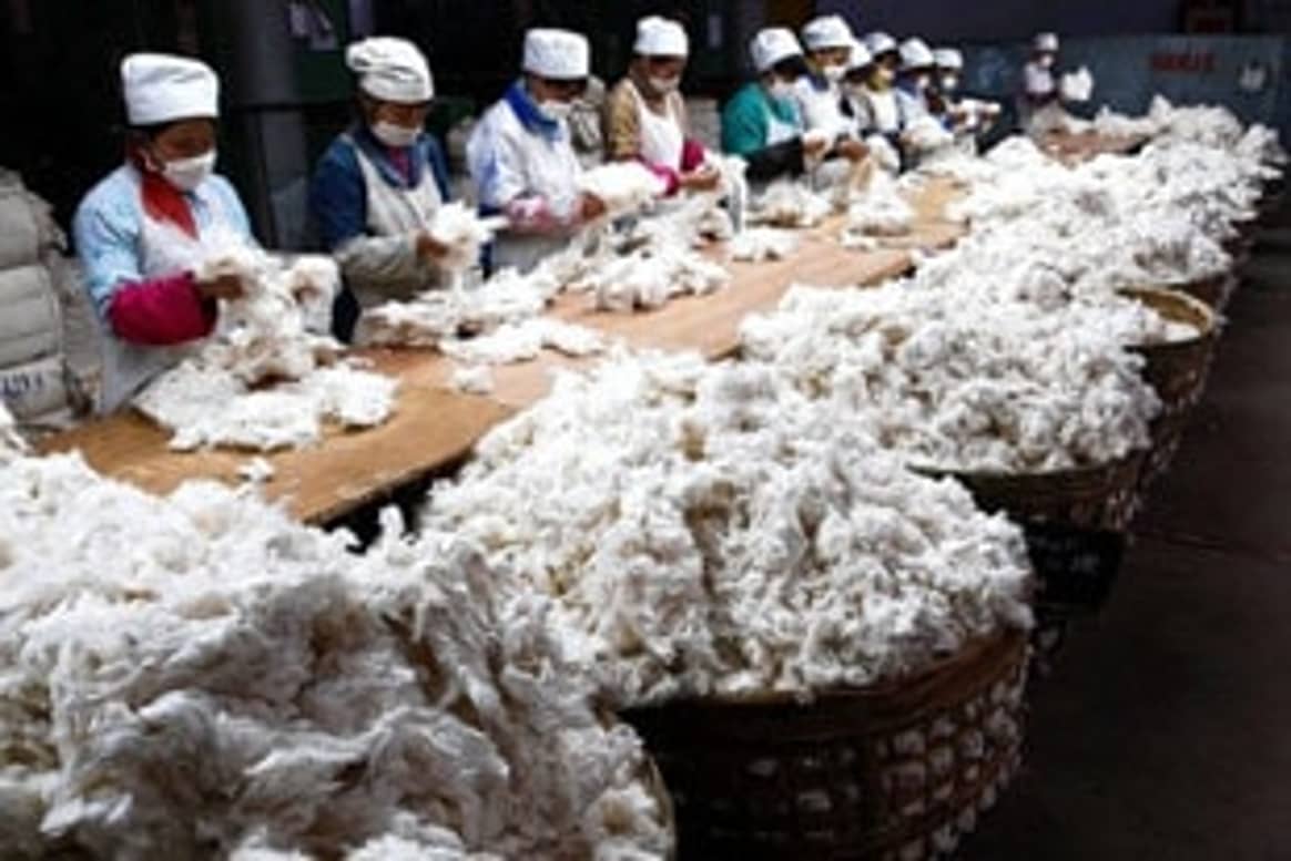 Nouvelle chute du prix du coton