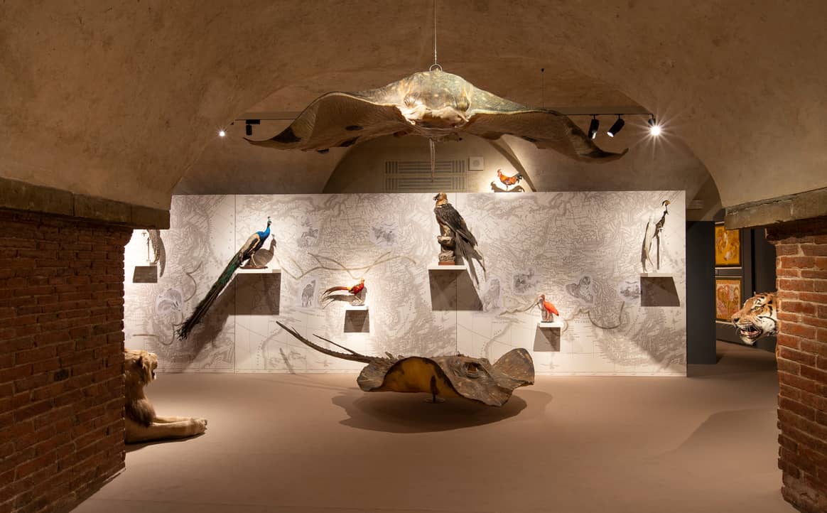 Coup de projecteur sur « Silk », la nouvelle exposition du musée Salvatore Ferragamo