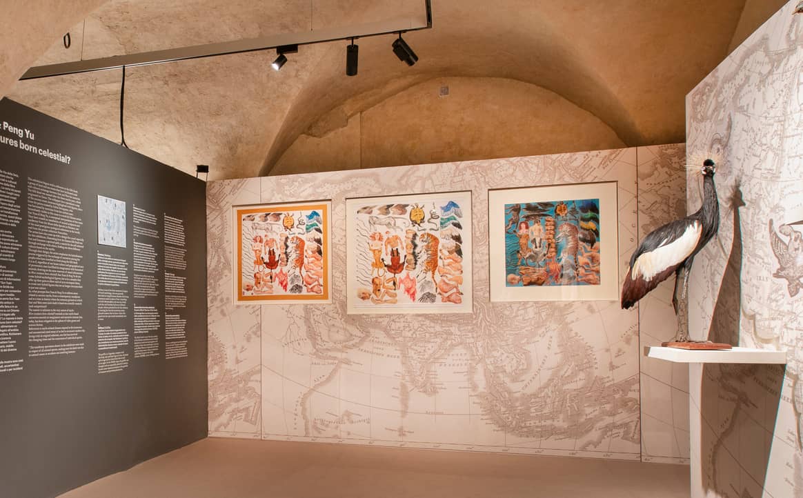 Coup de projecteur sur « Silk », la nouvelle exposition du musée Salvatore Ferragamo