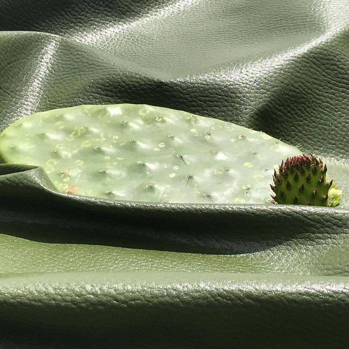 Kaktusleder ist eine der innovativen Materialien mit denen Fassbender arbeitet. Bild: Fassbender