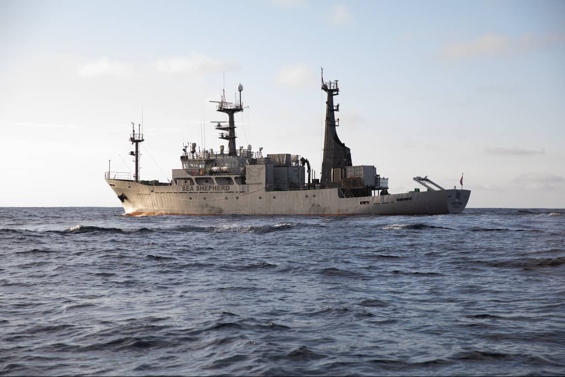 A Sea Shepherd ship. Image courtesy of Veja