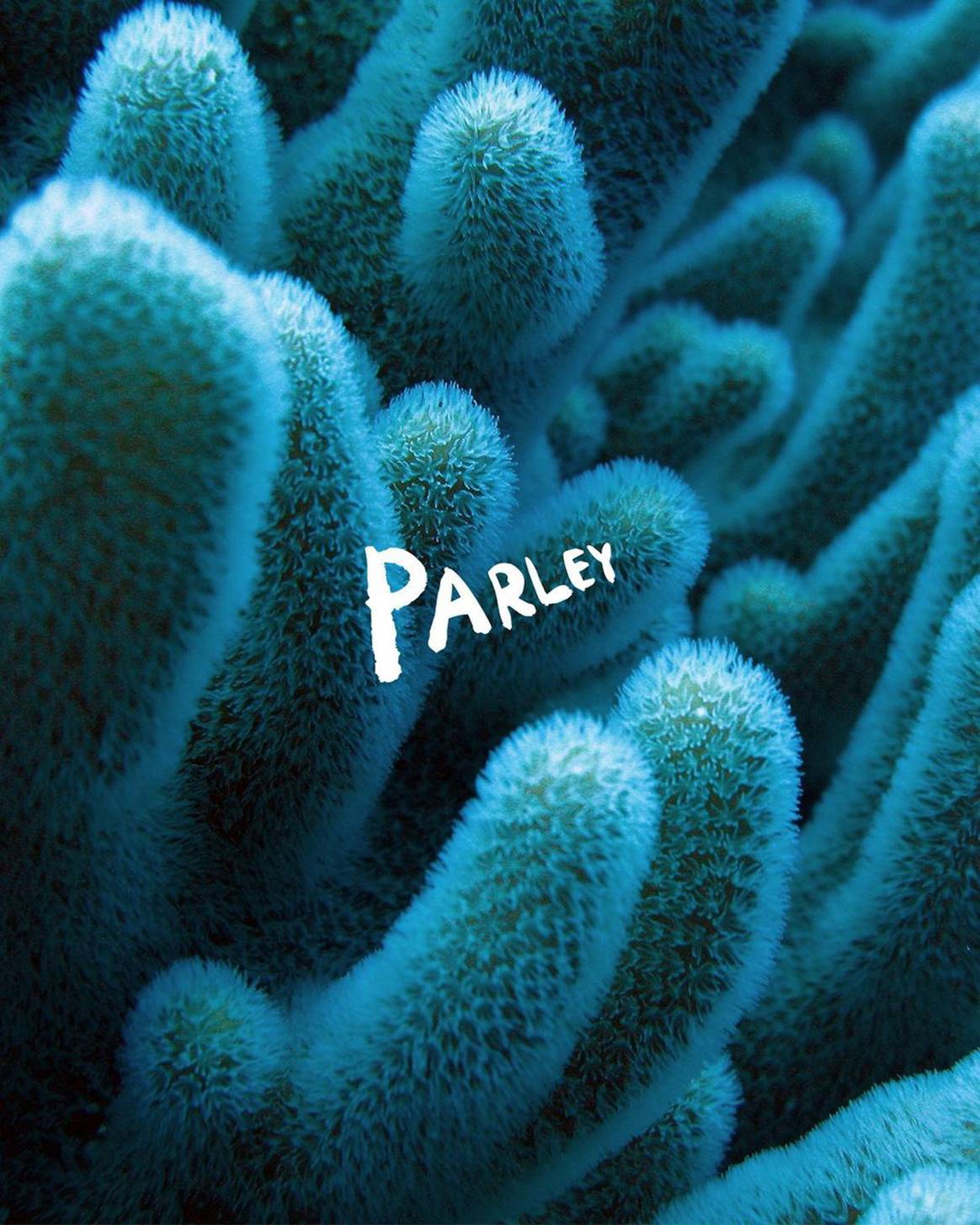 Photo Credits: Parley for The Oceans.