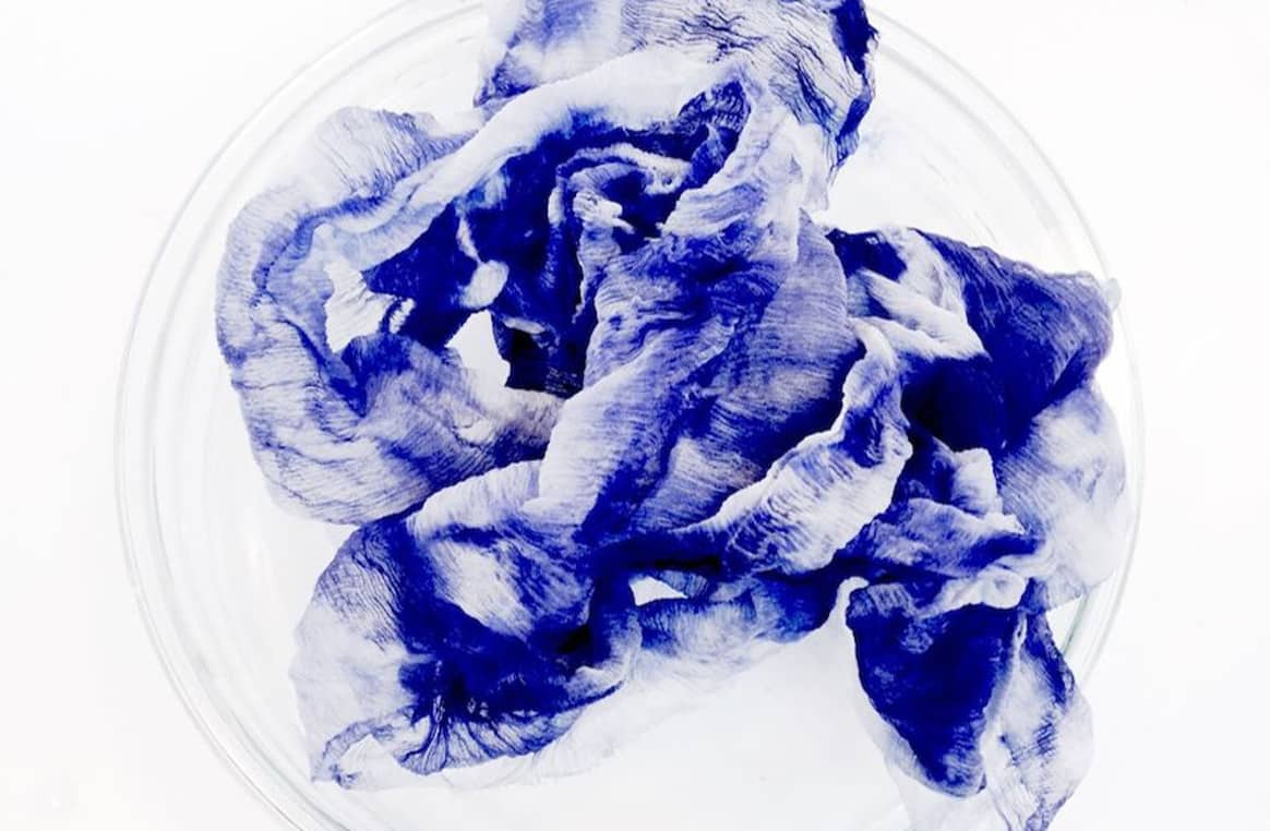 Bakteriell gefärbte Textilien von Living Colour. Bild via Dutch Design Week