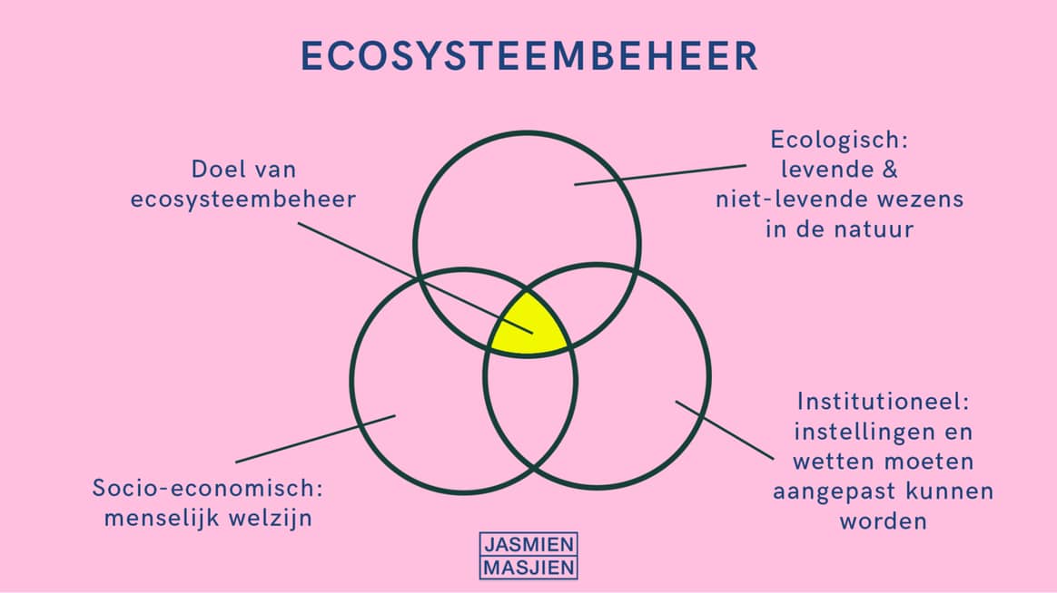 Ecosysteembeheer