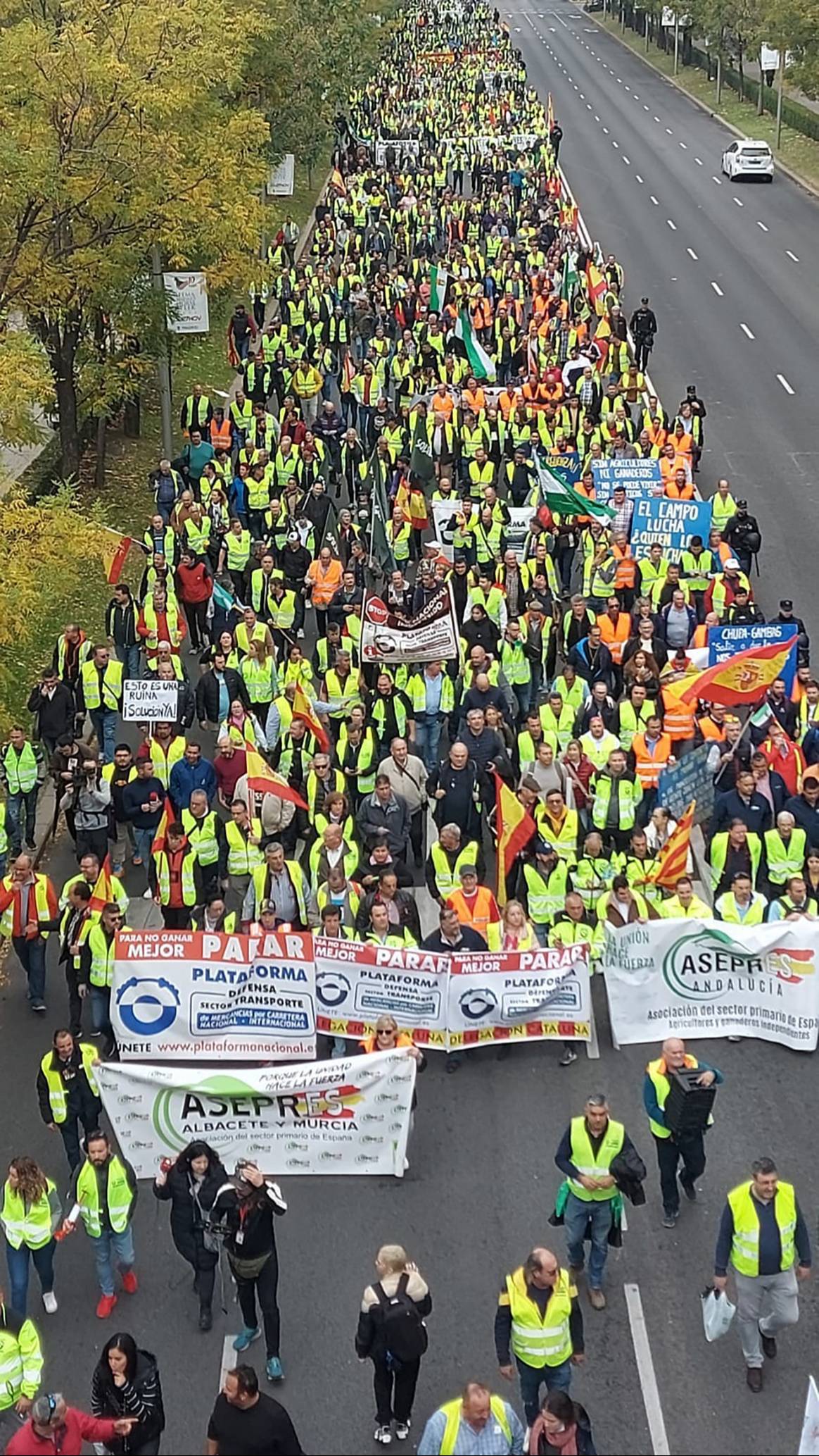 Photo Credits: Manifestación de este lunes en Madrid convocada por la Plataforma para la Defensa del Sector del Trasporte de mercancías por Carretera Nacional e Internacional. Plataforma, página oficial.