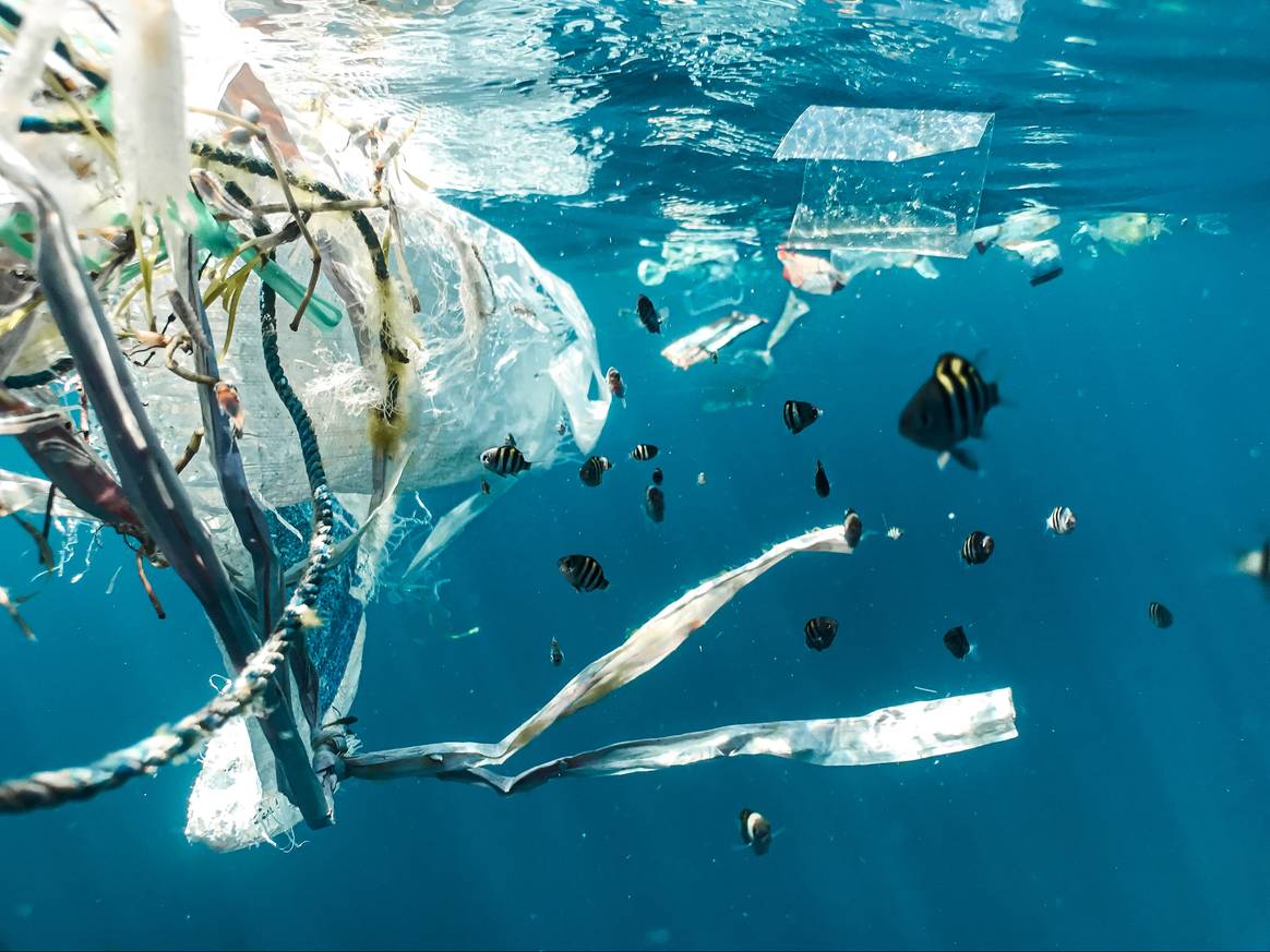 Imagen ilustrativa de residuos plásticos en los océanos. Crédito: Naja Berlolt, vía Unsplash.