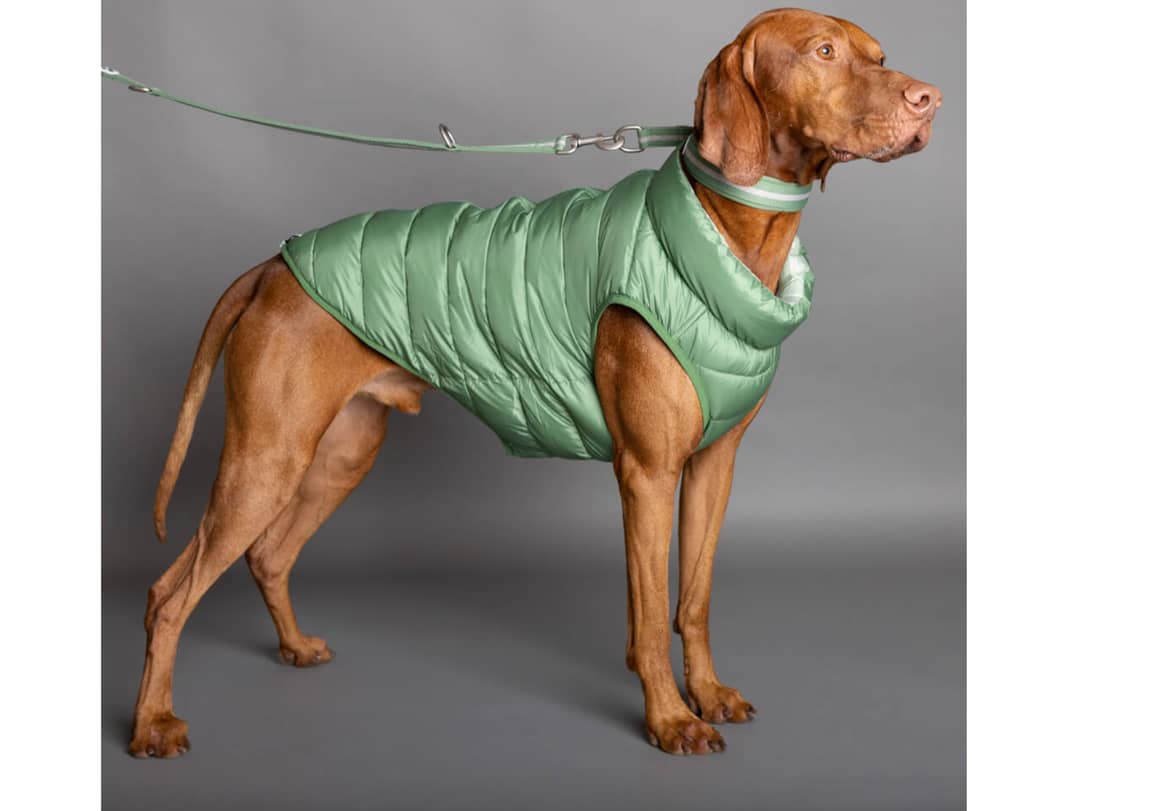 Winterproof reversible dog jacket in elm green. Credits: Snoot Style