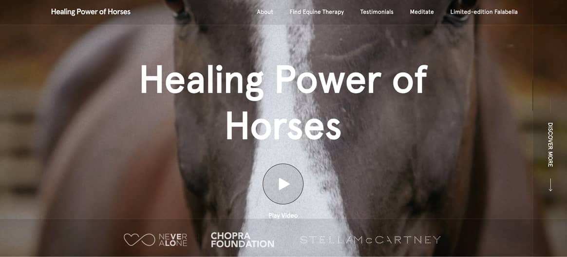 Healing Power of Horses, website