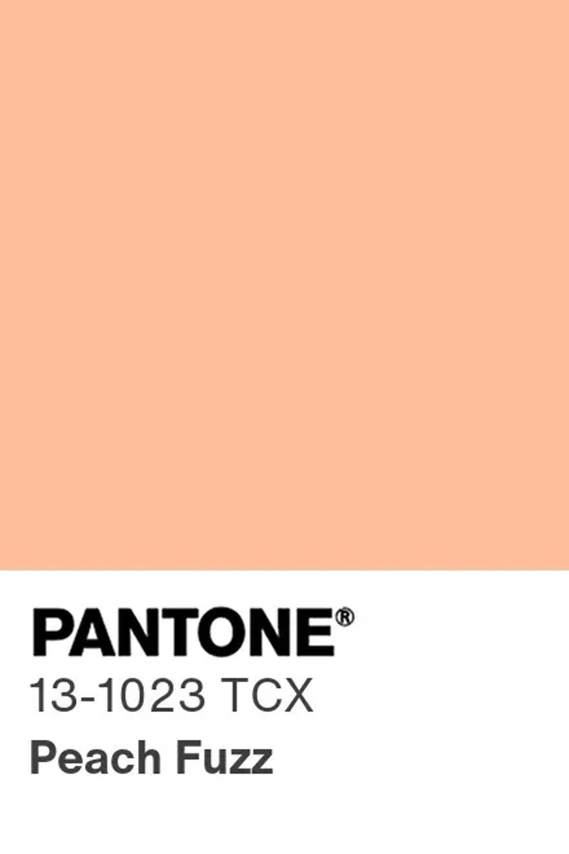 Pantone 13-1023, Peach Fuzz, kleur van het jaar 2024