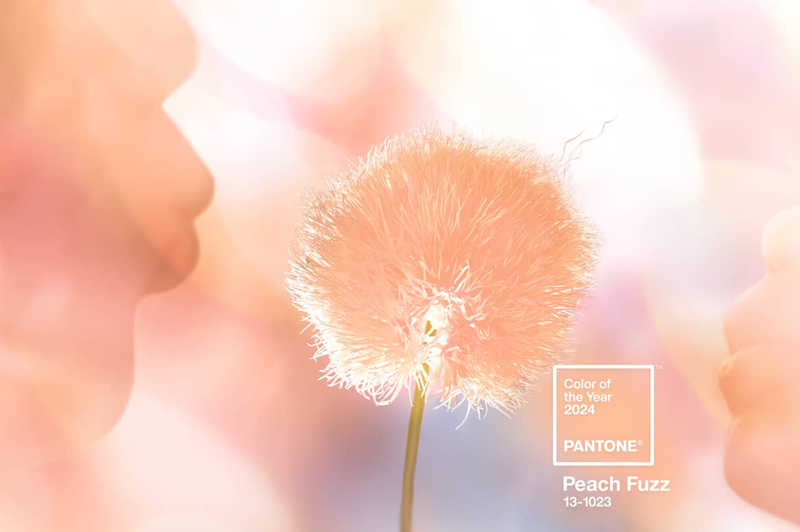 Pantone 'Peach Fuzz' - Colour of the Year 2024