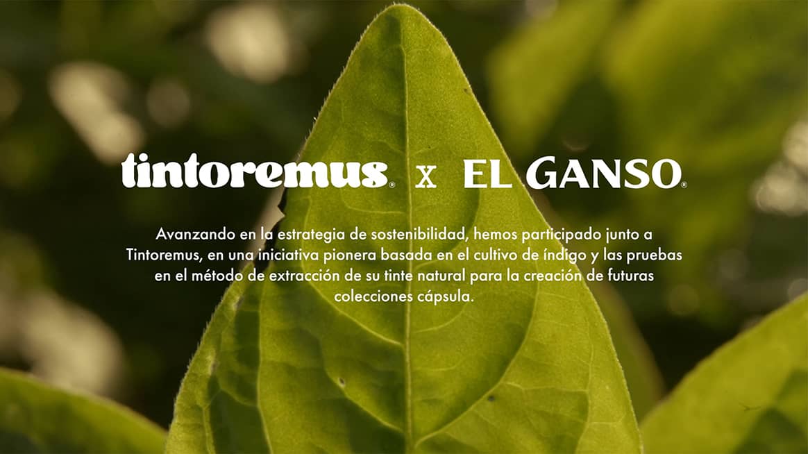 Colección cápsula “Tintoremus x El Ganso”, fotografía de campaña.