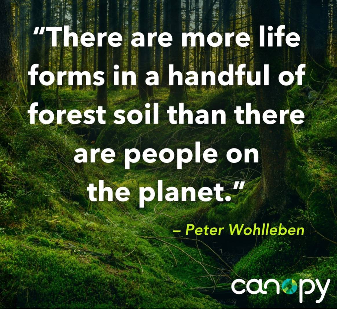 “There are more life forms in a handful of forest soil than there are people on the planet.