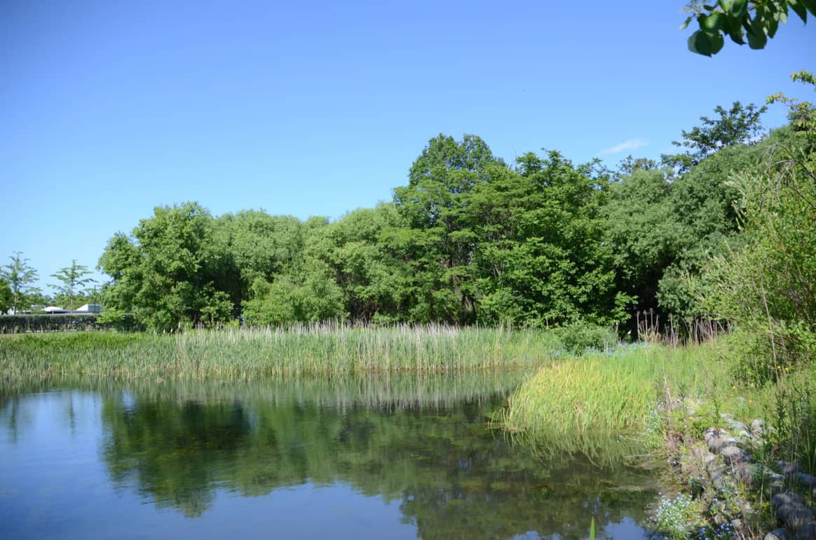 Credits: YKK Center Park Furusato-no-Mori (Hometown Forest) and waterside