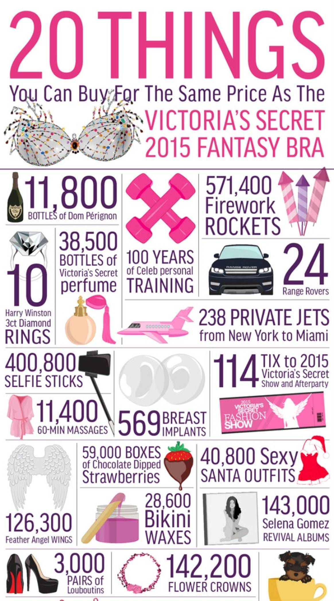 Infographic - 20 things you can get for the price of the Victoria's Secret Fantasy Bra