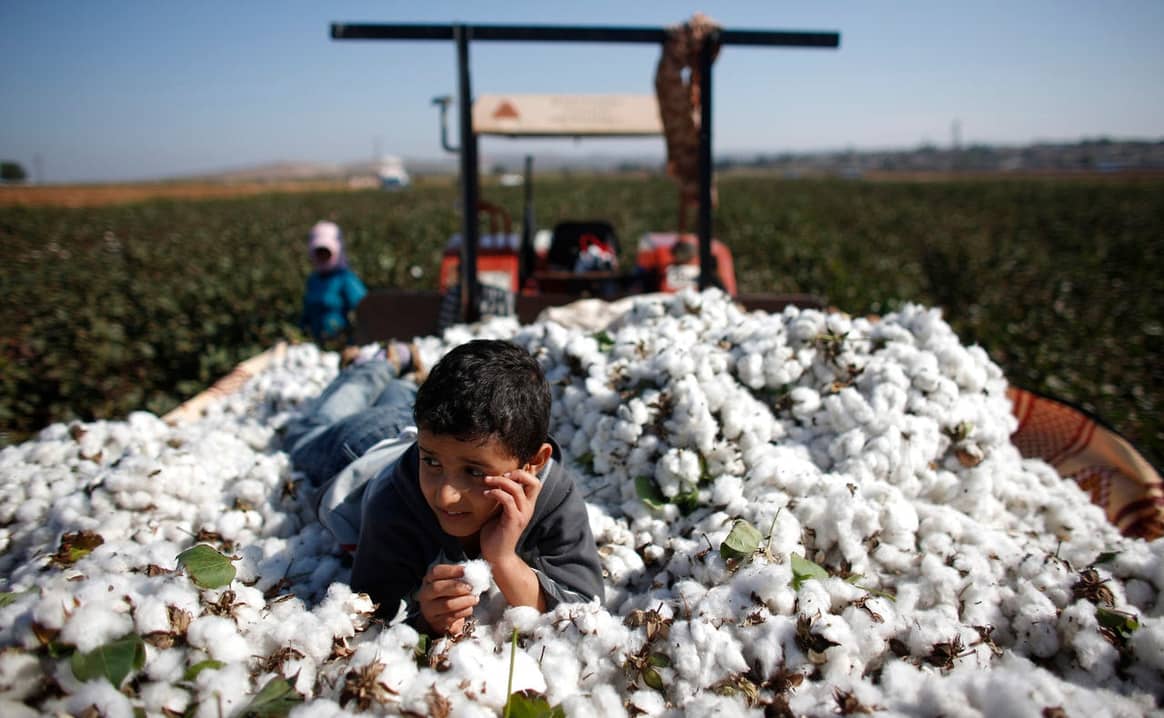 Risk of Syrian conflict cotton in your closet worries manufacturers