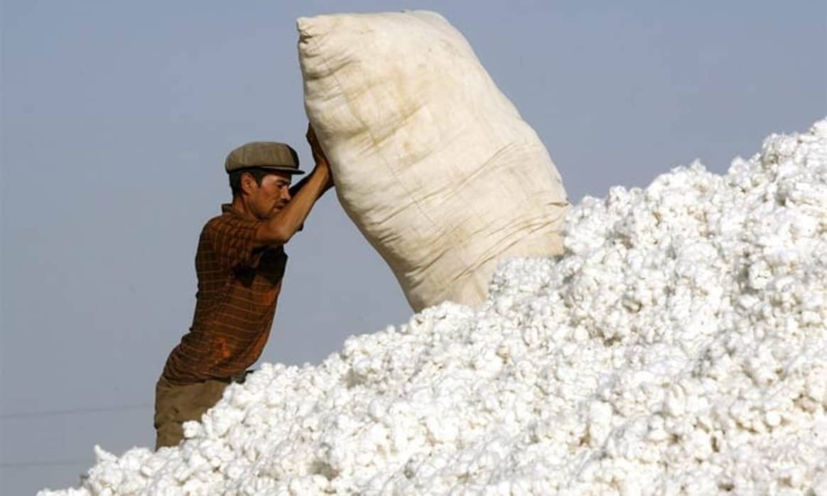 «100 Prozent Baumwolle»: Qualitätssiegel oder Boykottgrund?