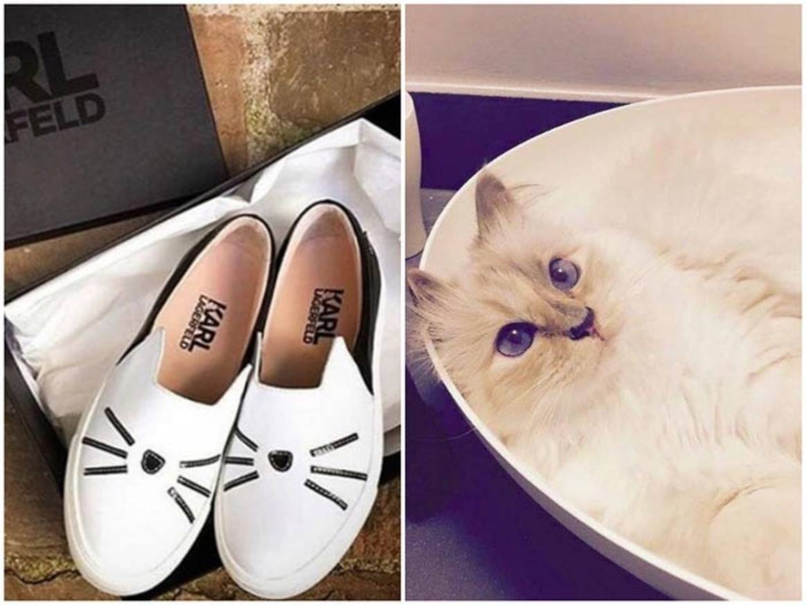 El profundo amor de la industria de la moda… un felino de 4 patas