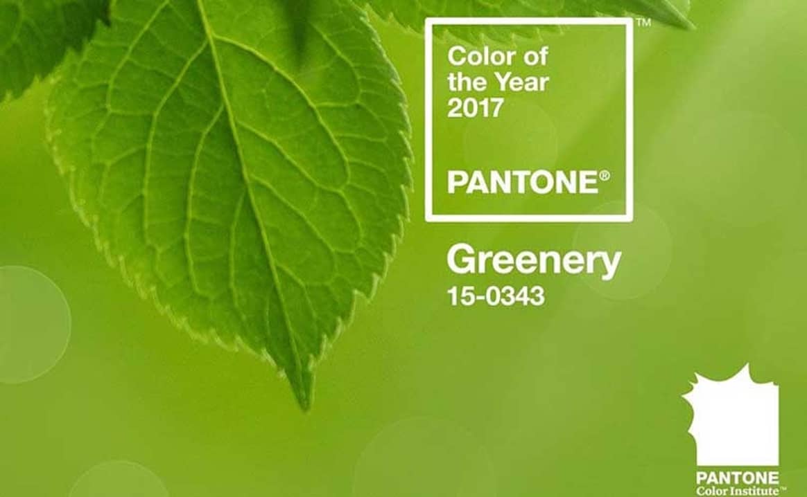 Pantone names Greenery colour of the year