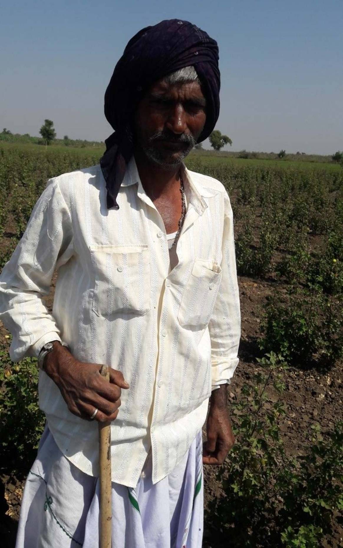Sustainably farmed cotton five times less damaging