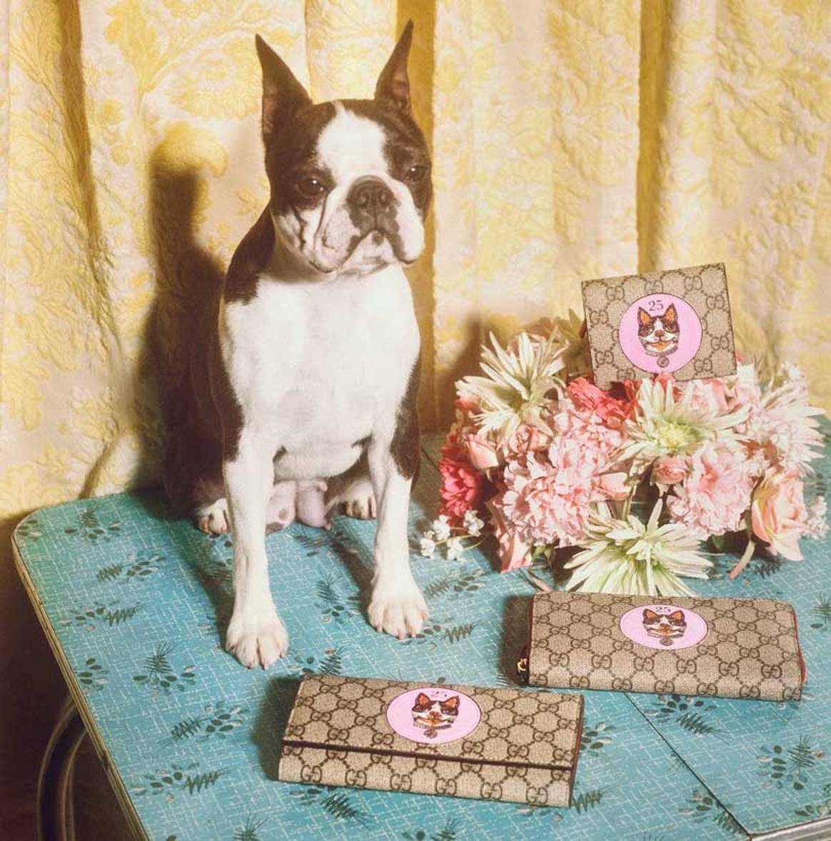 In Bildern: Guccis Sonderkollektion zum Jahr des Hundes