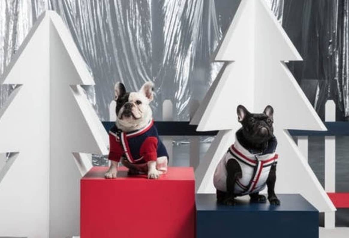 Moncler Poldo Dog Couture: Luxusmode für Hunde